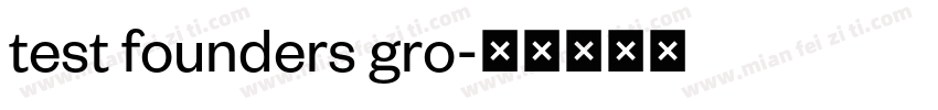 test founders gro字体转换